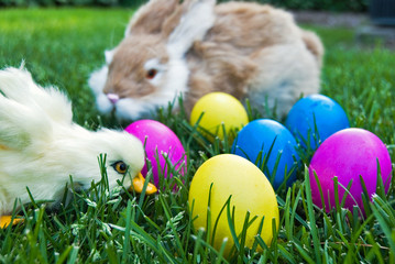 Easter Critters