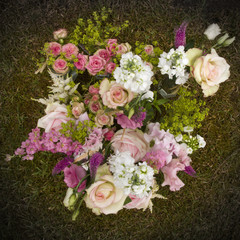 garden flowers