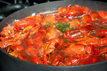 boiling crawfish