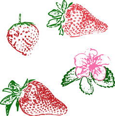 Erdbeeren und Bl&uuml;te