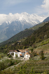 Obraz premium Südtirol II
