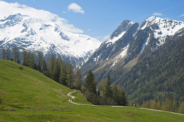 Fototapeta na wymiar Chemin de randonnée (La Forclaz)
