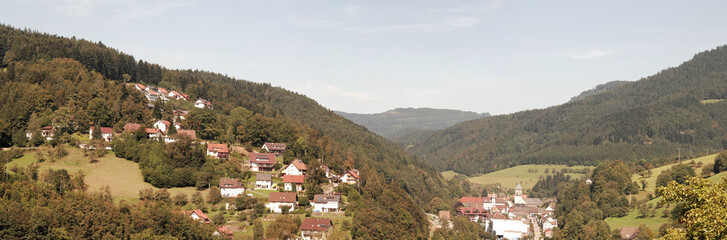 Naklejka premium mitten im Schwarzwald