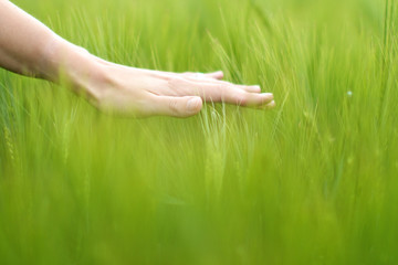 den Sommer sp&uuml;ren