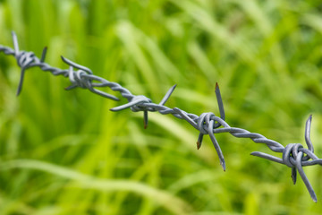 Barbed wire