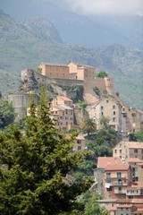 Fototapeta premium corté