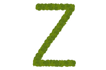 green leaves Z