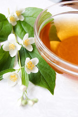 Cup of green tea with jasmine