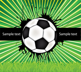vector football background