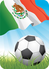 World soccer championship 2010 - Mexico
