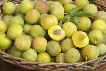 prunes reine claude