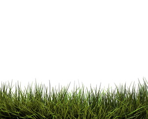 grass background/