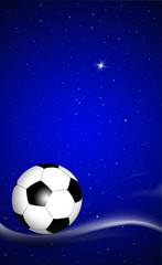 Fußball WM