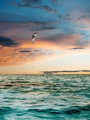 Sunset over the sea.