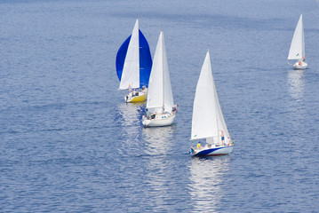 Local regatta on a river.