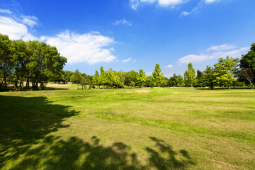 Golf field