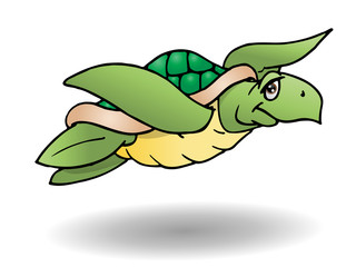 sea turtle