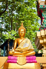 lord buddha