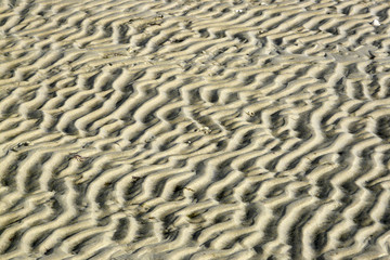 Fototapeta na wymiar Strukturen im Sand, Structures in the sand