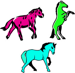 horses vector illustration