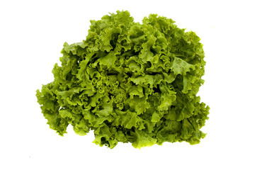 Obraz premium Lettuce
