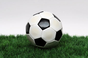 Fototapeta na wymiar Fußball auf Rasen vor weißem Hintergrund