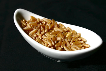 céréales kamut