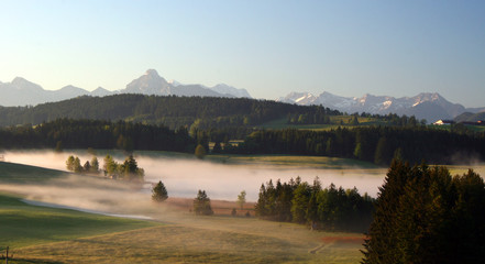 Morgennebel