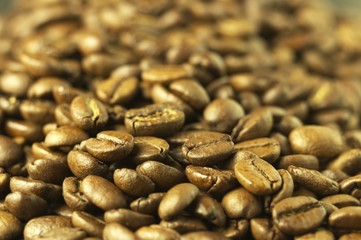roasted coffee beans