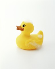 rubber duck