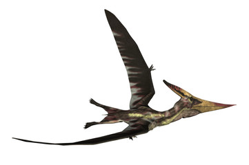 Pteranodon Longiceps © AlienCat