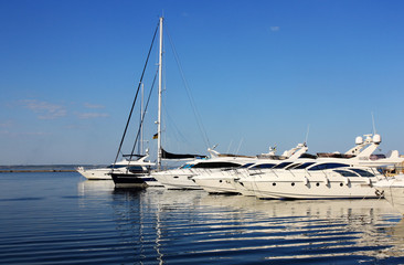 yachts at berth in marina