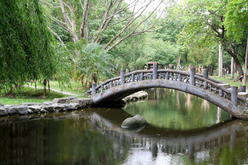 Fototapeta na wymiar Most łukowy w ogrodzie azjatyckich