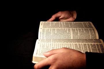 Person holding a Bible