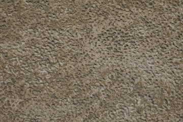 texture_muro05