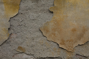 texture_muro03