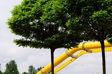 Yellow Pipe with Trees