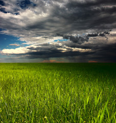 Fototapeta premium Storm over meadow