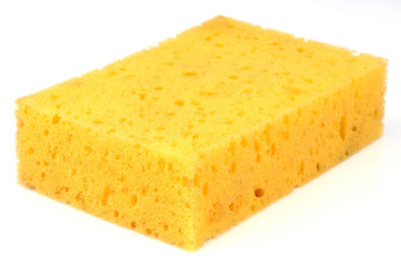 L'éponge