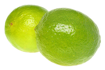 Limes