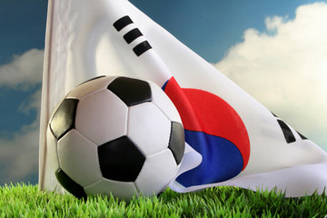 Fußball-WM 2010