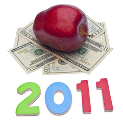 Obraz na płótnie Canvas 2011 Cost of Health Care or Education
