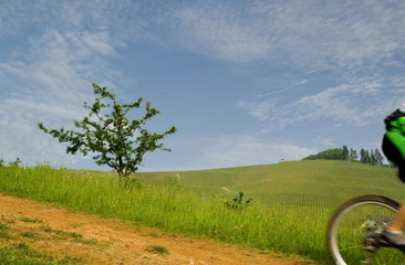 Mountainbiker im Schwarzwald