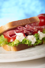 sandwich with salami - sandwich al salame