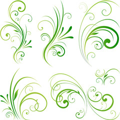 Floral decorative swirls - 23442826