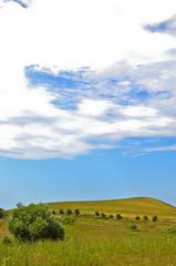 Fototapeta premium mare dalla collina 17