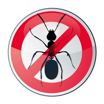 icone diagnostic fourmis / pas de fourmi