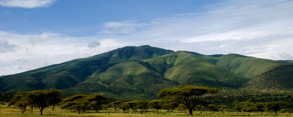 African mountain