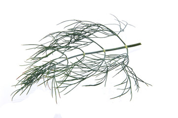 Dill