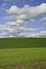 Obraz premium Hills and Clouds